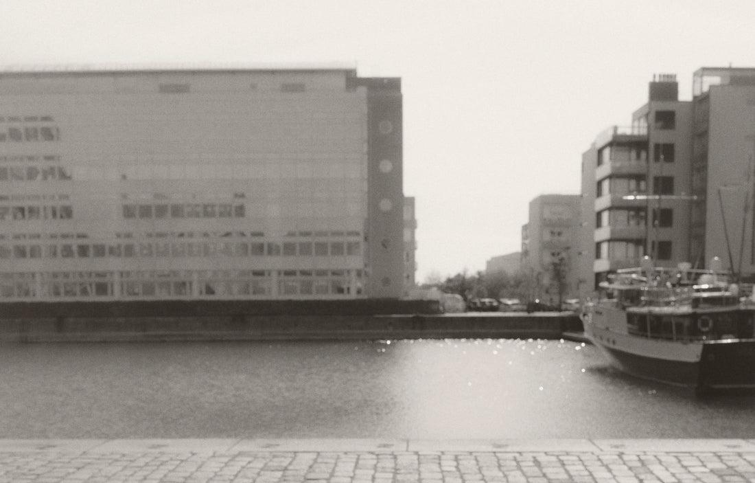 Copenhagen Diary