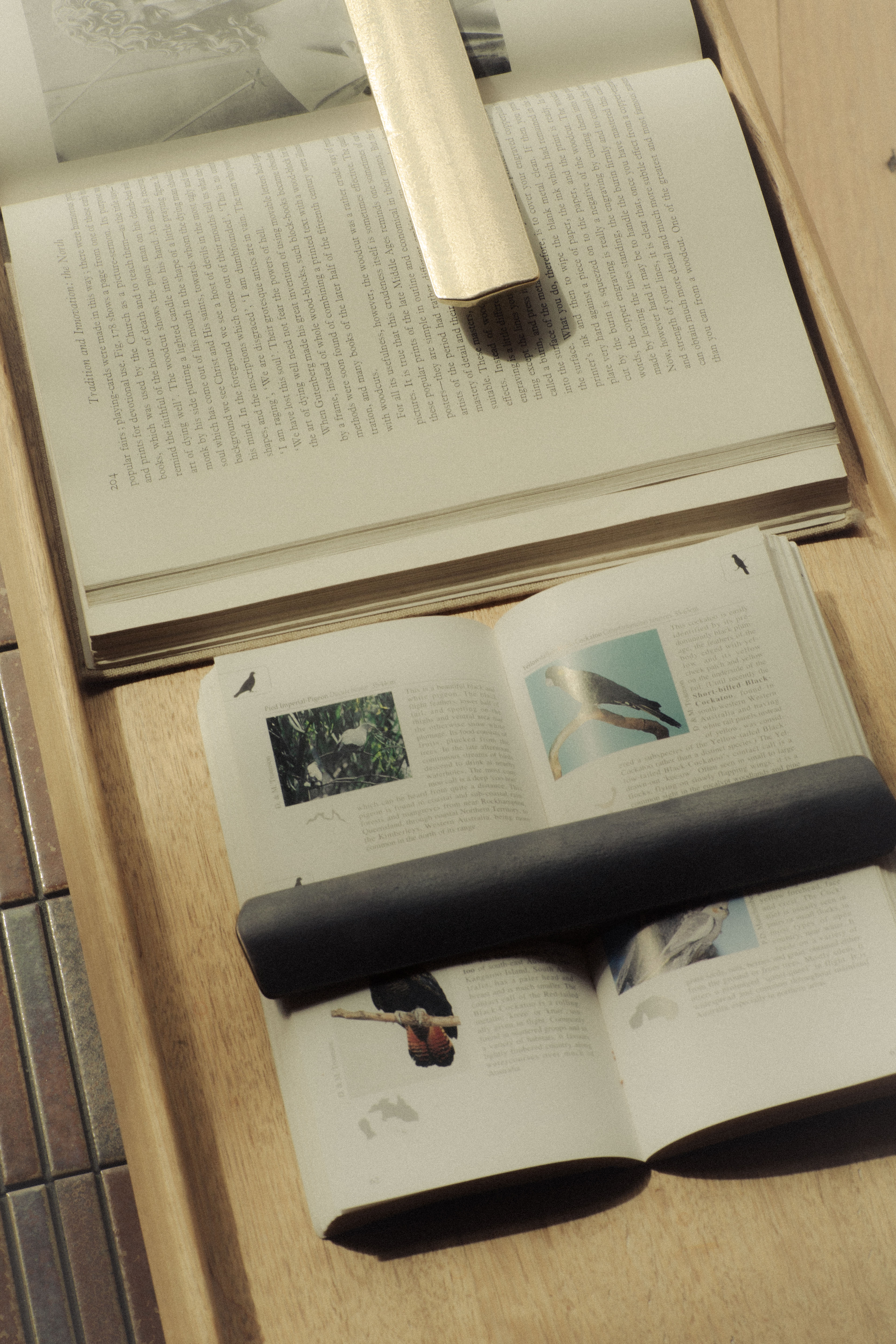 Brass Book Weight – studio HENRY WILSON